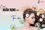 Cách Ngăn Rụng Tóc Và Làm Dày Tóc Tại Nhà
